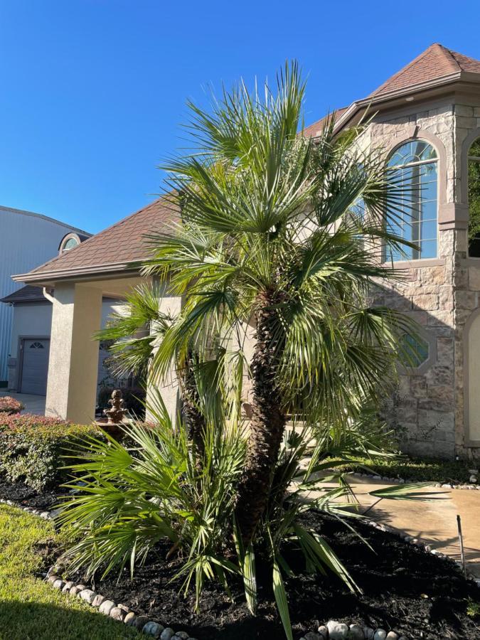 Вілла Luxuria Mini-Mansion Near Houston Downtown Екстер'єр фото